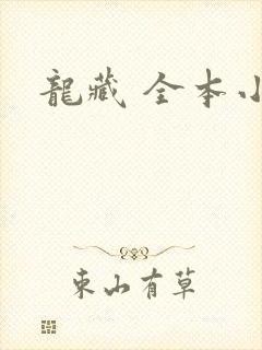 龙藏 全本小说