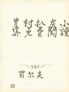 农村扒灰小说全集免费阅读封面