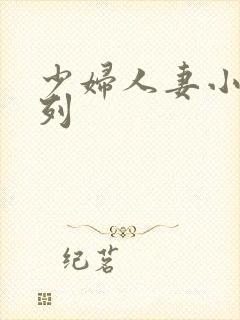 少妇人妻小说系列封面