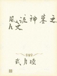 风流神墓之辰南h文