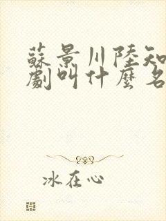 苏景川陆知夏短剧叫什么名字封面