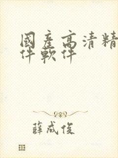 国产高清精品软件软件