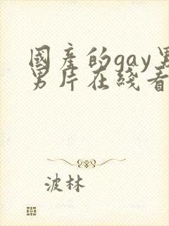 国产的gay男男片在线看