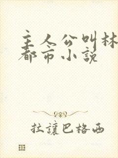 主人公叫林萧的都市小说