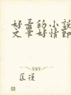 好看的小说推荐文笔好情节好