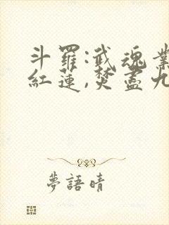 斗罗:武魂业火红莲,焚尽九天