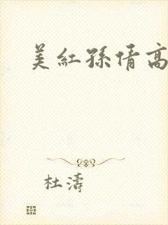 美红孙倩高义封面