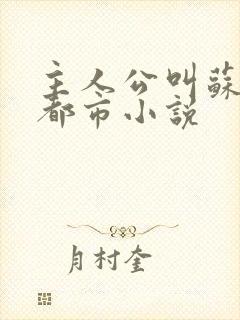 主人公叫苏晨的都市小说