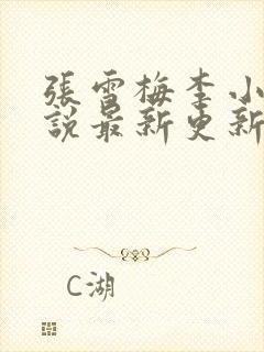 张雪梅李小强小说最新更新章节介绍