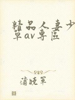 精品人妻少妇嫩草av专区封面