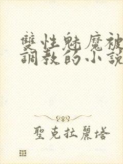 双性魅魔被主人调教的小说最新章节