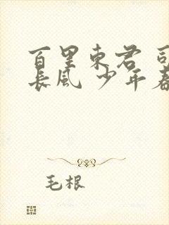 百里东君 司空长风 少年春风醉白马封面