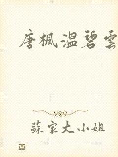 唐枫温碧云小说