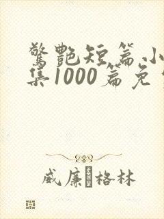 惊艳短篇小说合集1000篇免费阅读封面