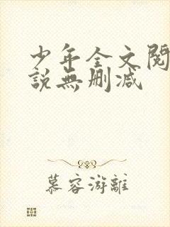少年全文阅读小说无删减封面