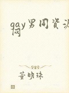 gay男同资源网