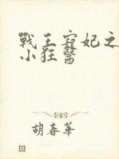 战王宠妃之倾世小狂医