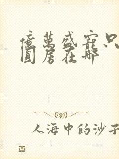 亿万盛宠只为你圆房在哪封面