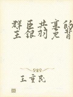 群臣共享的小公主银羽免背刺封面