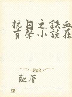 抗日之铁血兵王有声小说在线收听