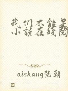 我们不能是朋友小说在线阅读