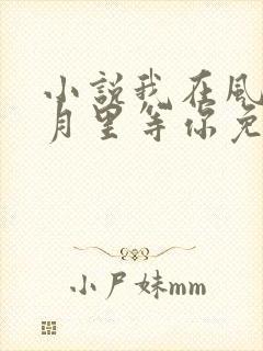 小说我在风花雪月里等你免费阅读
