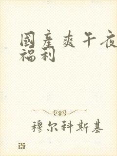 国产爽午夜精品福利