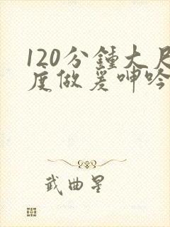 120分钟大尺度做爰呻吟舌吻封面