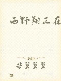 西野翔正在播放