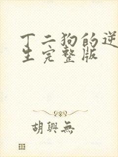 丁二狗的逆袭人生完整版封面