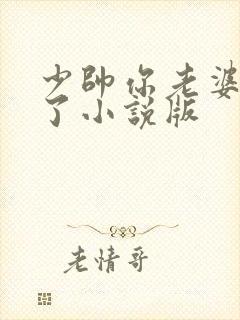 少帅你老婆又跑了小说版