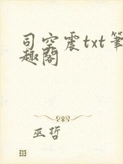 司空震txt笔趣阁