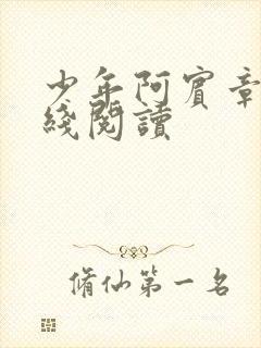 少年阿宾章节在线阅读