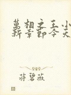 万相之王小说最新章节今天