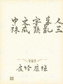 中文字幕人妻丝袜成熟乱三区