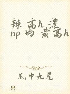 辣 高h 浓 np 肉 黄高h