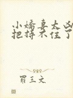 小娇妻太凶陆总把持不住了短剧封面