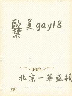 欧美gay18禁