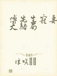 傅先生宠妻无度大结局封面