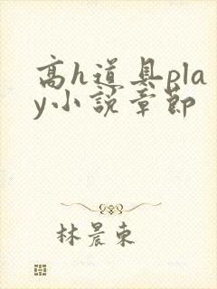 高h道具play小说章节