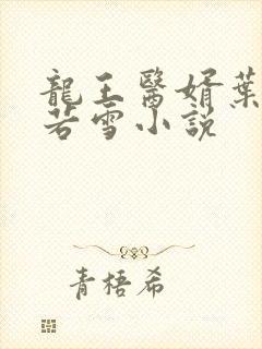 龙王医婿叶凡唐若雪小说