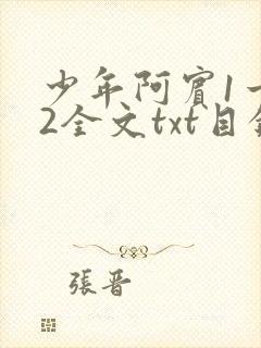 少年阿宾1一72全文txt目录封面