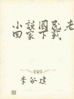 小说国民老公带回家下载