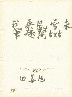 我乘风雪未删减笔趣阁txt