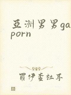亚洲男男gayporn封面