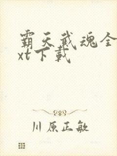 霸天武魂全本txt下载