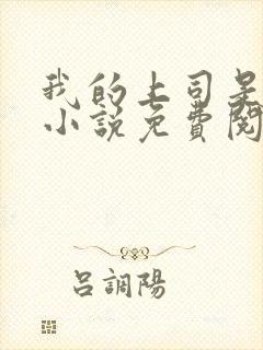 我的上司是女王小说免费阅读