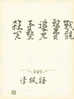 杀手追击战电影完整免费观看中文封面