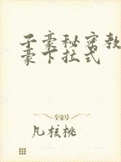 子豪秘密教学土豪下拉式