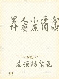 男人小便分叉是什么原因吃什么药封面